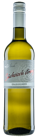 Grauburgunder vom Weingut Jan Ulrich in Nünchritz - Diesbar-Seußlitz - an der Elbe bei Dresden in Sachsen