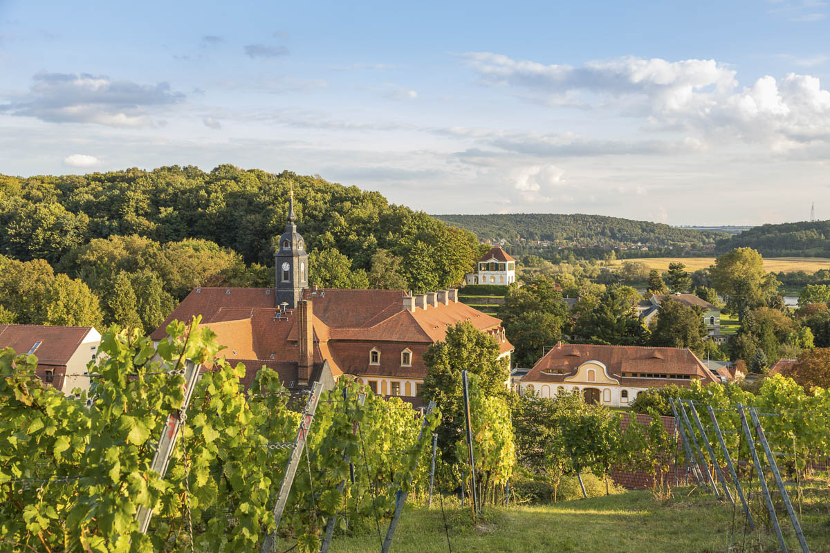 Die Region vom Weingut Jan Ulrich in Nünchritz - Diesbar-Seußlitz - an der Elbe bei Dresden in Sachsen